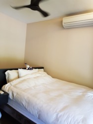 The Miltonia Residences (D27), Condominium #163028952